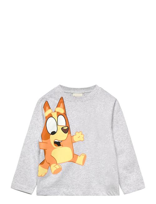 Tshirt Bluey Grey