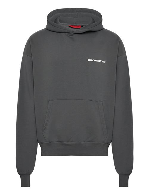 10119 Hoodie Prohibited Grey