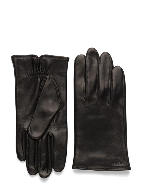 Aiden Black Hestra Black