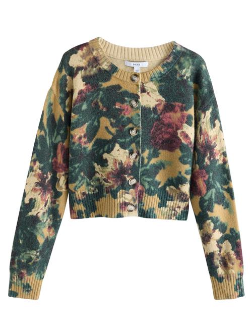 Next Cardigan  umbra / grøn / mørkegrøn / vinrød