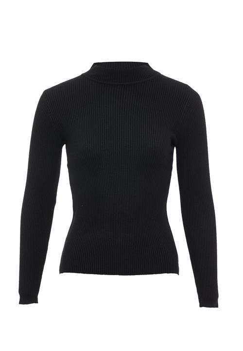 leo basics Pullover  sort