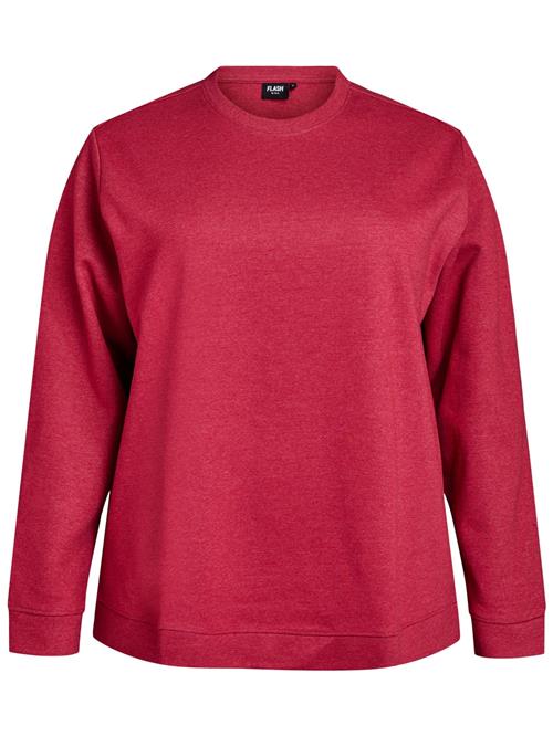 Zizzi Sweatshirt 'Vigga'  rød