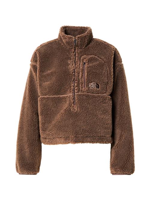THE NORTH FACE Pullover 'EXTREME PILE'  brun