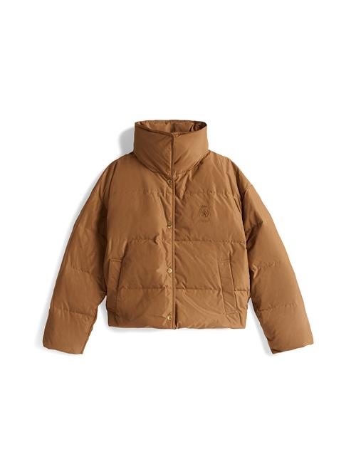 TOMMY HILFIGER Overgangsjakke  brun