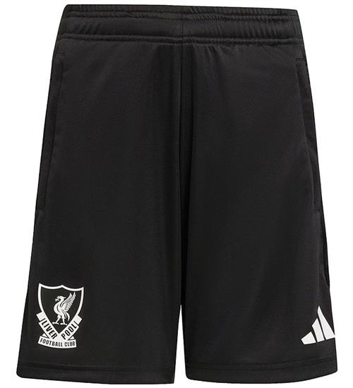adidas Performance Shorts - Liverpool Youth 25/26 - Sort
