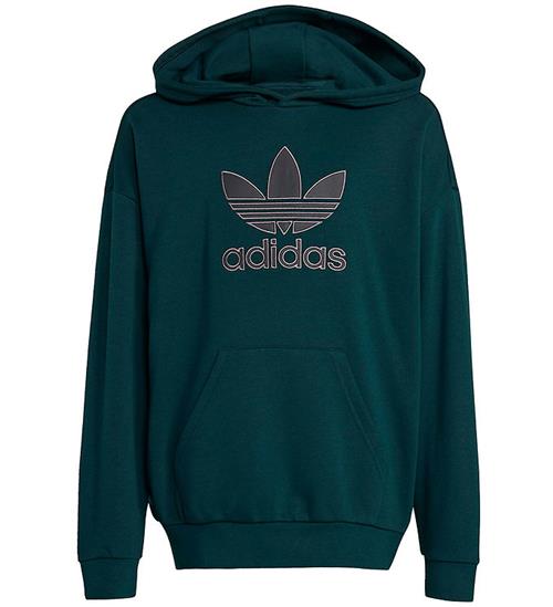 adidas Originals Hættetrøje - Aurivy