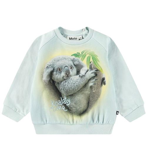 Molo Sweatshirt - Disc - Koalaty Time