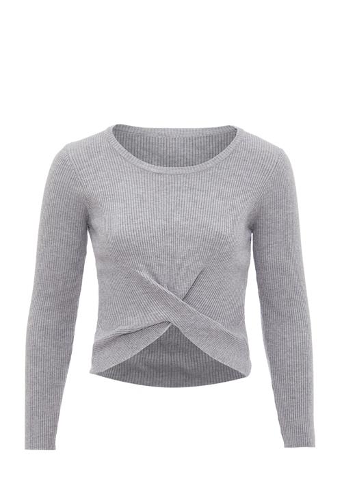 leo basics Pullover  grå