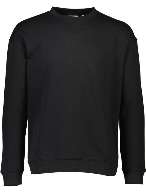 Lindbergh Sweatshirt
