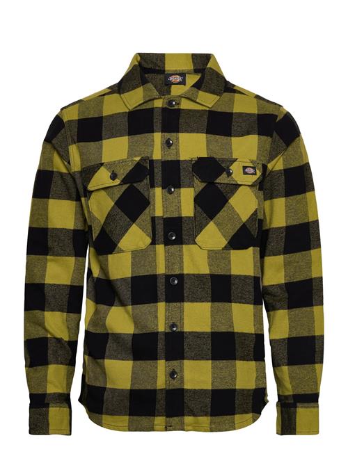 M Sacramento Shirt Dickies Green
