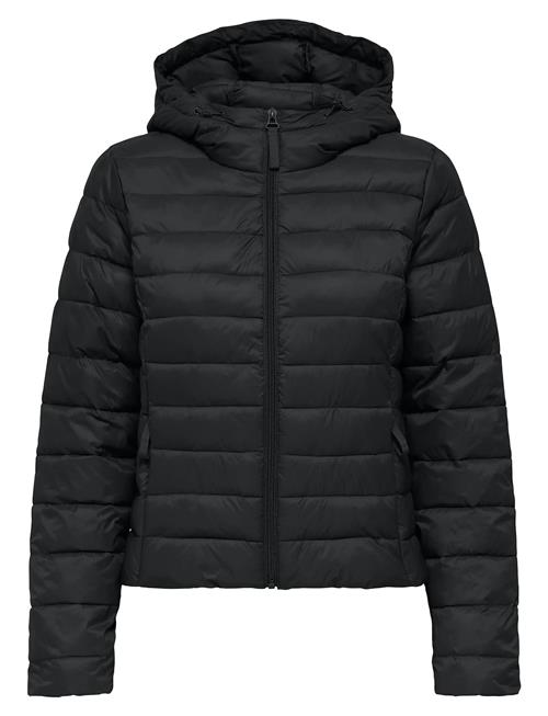 Onltahia Lw Quilted Hood Jkt Noos Otw ONLY Black