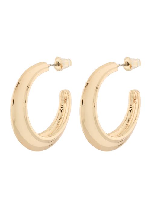 STEVE MADDEN Øreringe  guld