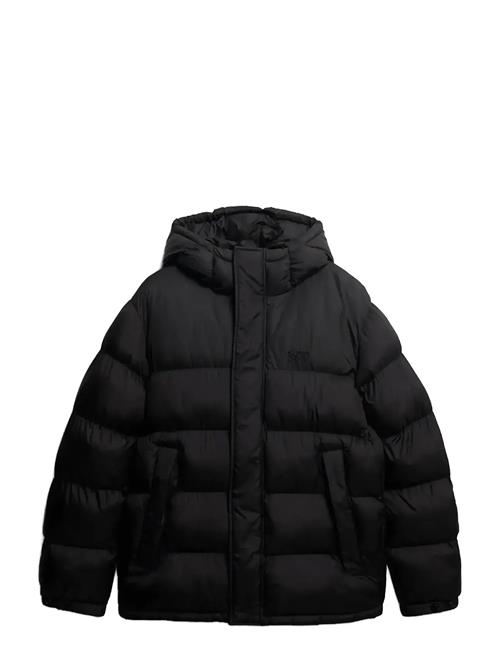 Hooded Tech Padded Jkt Superdry Black