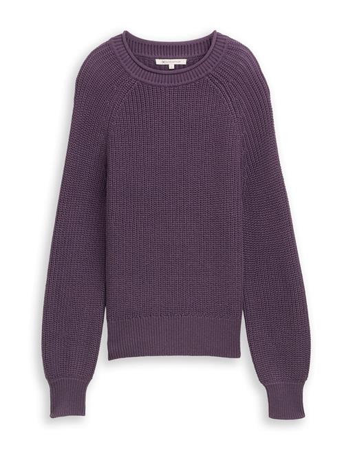 TOM TAILOR DENIM Pullover  mørkelilla