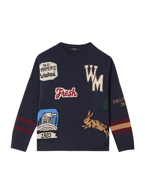 Weekend Max Mara Pullover 'PAVIDI'  blå / navy / rød / hvid