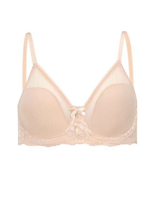 Dagi Minimizer  nude