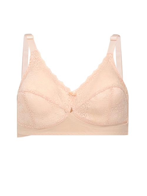 Dagi Minimizer  nude