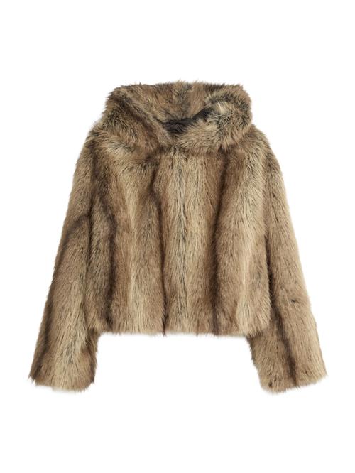 Bershka Vinterjakke  brun / lysebrun
