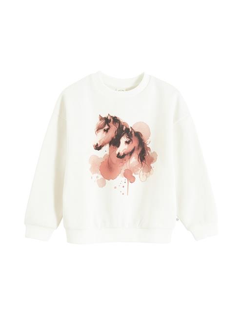 Cool Club Sweatshirt  kastaniebrun / mørkebrun / hvid