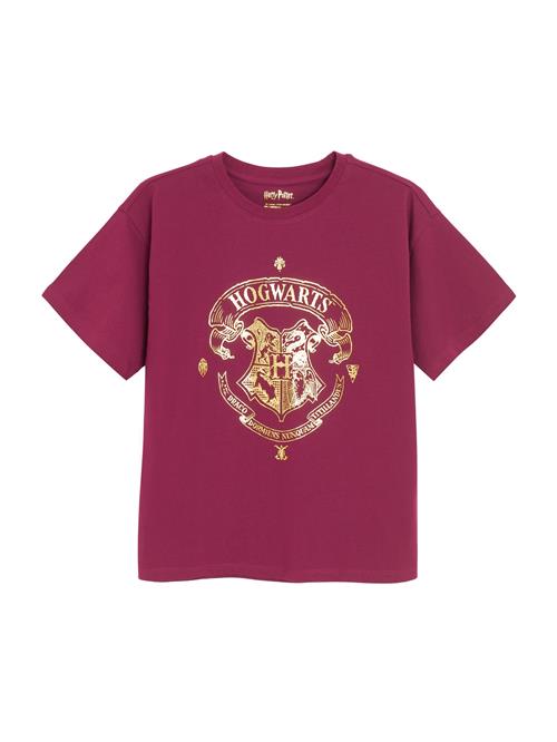Cool Club Bluser & t-shirts  guld / burgunder