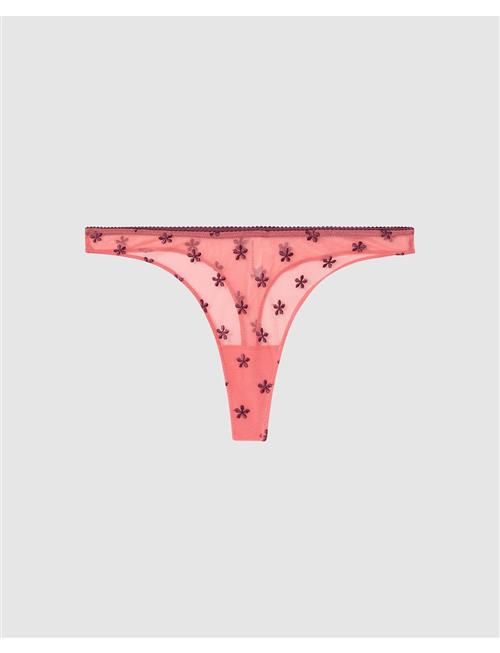 Lace Thong Understatement Underwear Coral