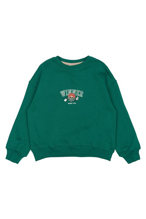 The New TNPaul OS Sweatshirt Alpine Green Alpine Green 3-4 Y  Grøn  3-4 år  mand