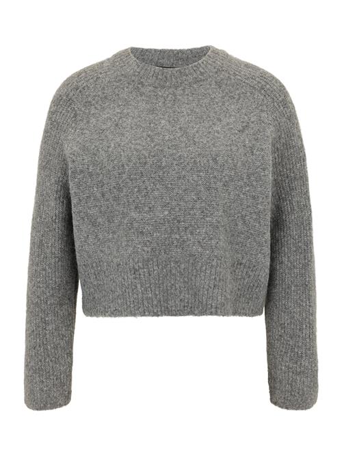 Vero Moda Petite Pullover 'VMBANG'  grå-meleret