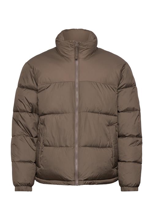 Hco. Guys Outerwear Hollister Brown