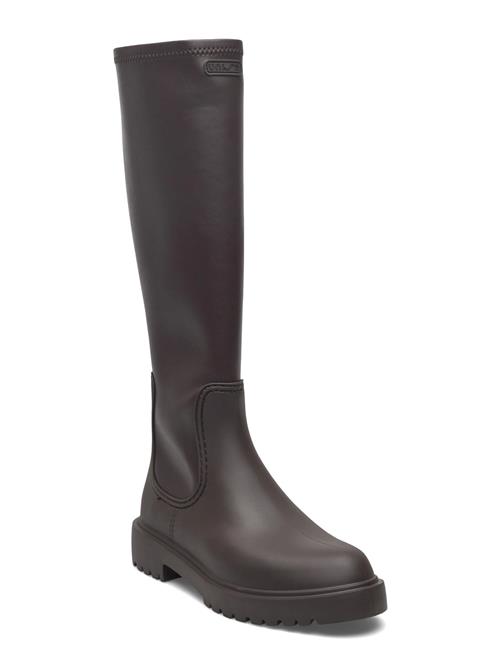 Fairf25Stb UNISA Brown