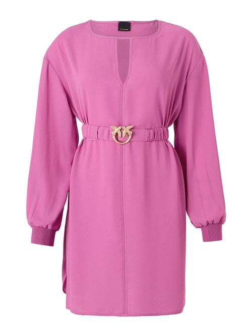 Se PINKO Kjole  pink ved About You