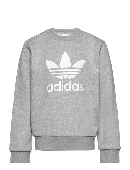 Trefoil Crew Adidas Originals Grey