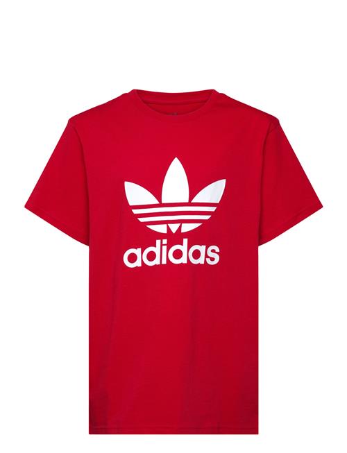 Trefoil Tee Adidas Originals Red