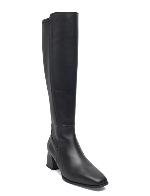 Lloydsttstn UNISA Black