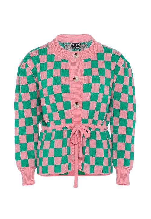 FENIA Cardigan  grøn / lyserød