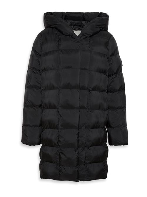 Calvin Klein Vinterfrakke 'SHINE'  sort
