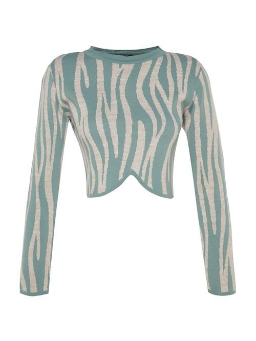 Trendyol Pullover  beige-meleret / mint