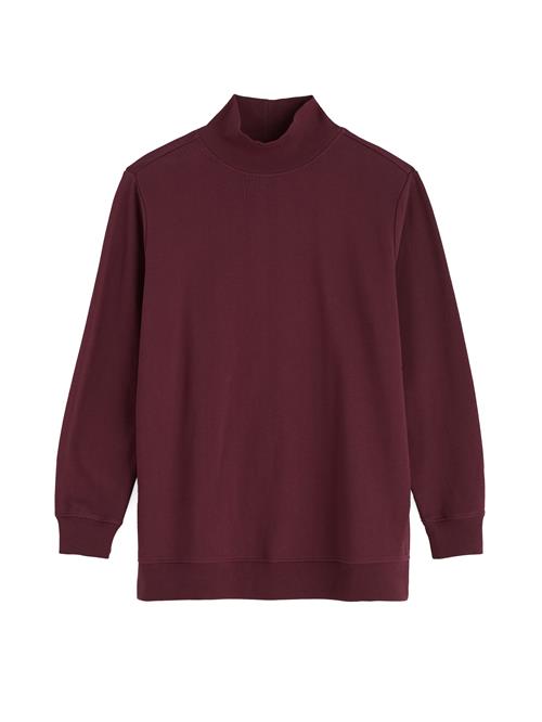 Seasalt Cornwall Sweatshirt 'Bremble'  bær
