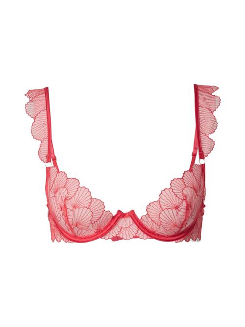 Bluebella BH 'Vermont'  pink