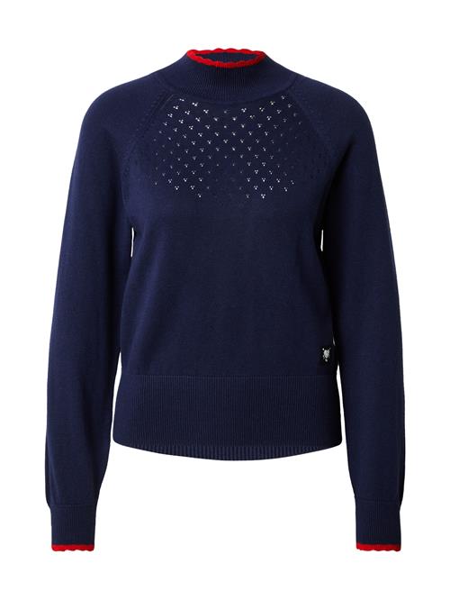 Blutsgeschwister Pullover 'Delicious Minds'  navy / rød