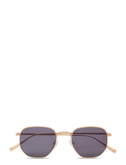 Lucca Gold Black Corlin Eyewear Gold