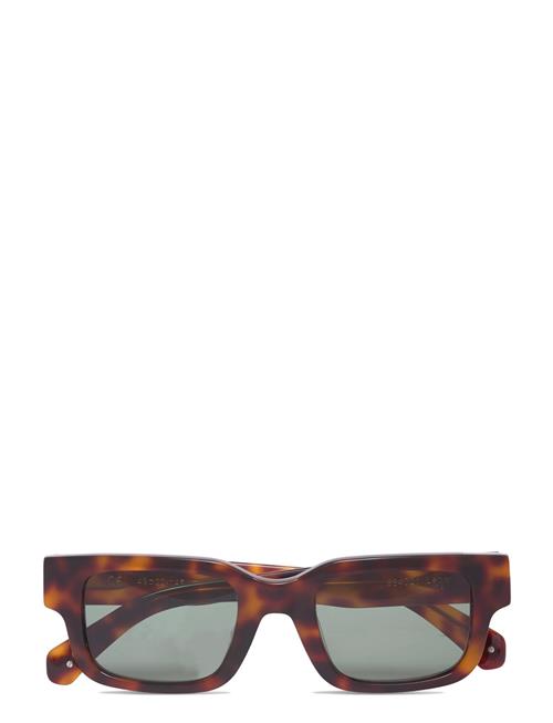 Leon Tortoise Green Corlin Eyewear Brown