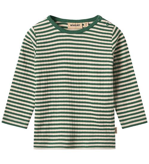 Wheat Bluse - Rib - Stig - Green Stripe