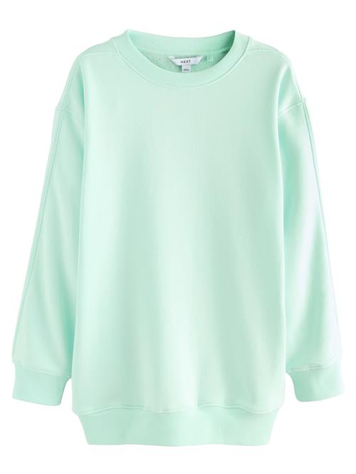 Next Sweatshirt 'Essentials'  mint