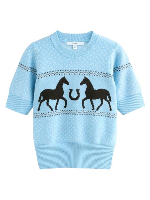 Se Next Pullover  lyseblå / sort / hvid ved About You