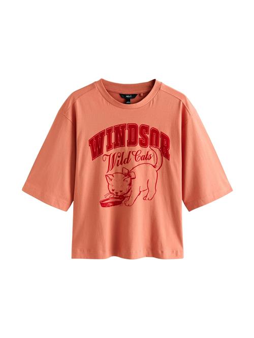 Next Shirts  gammelrosa / rød