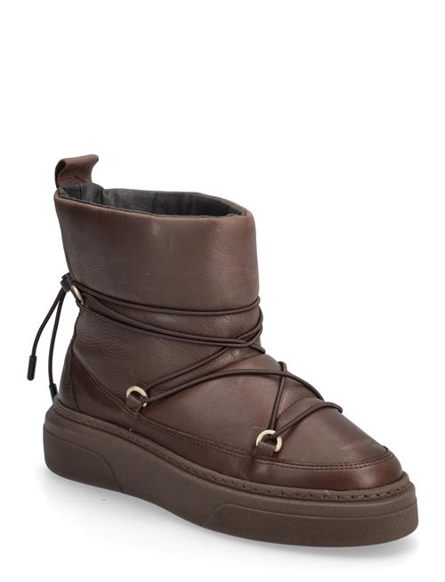 Isolde C Pavement Brown