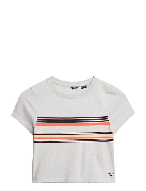 Vintage Stripe Crop Tee Superdry Grey