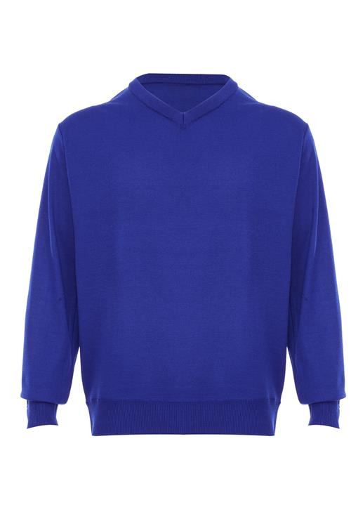 NAEMI Pullover  royalblå