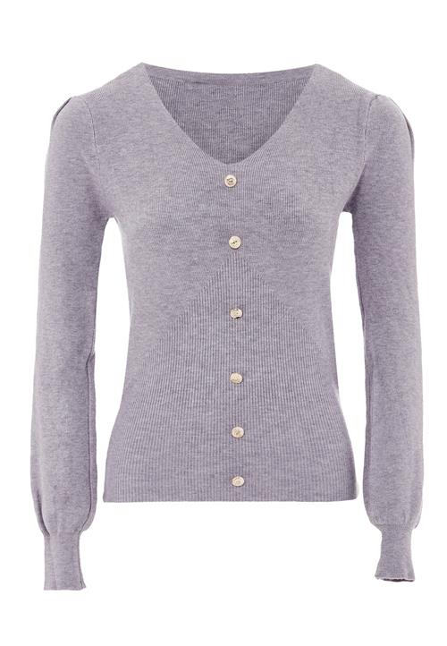 caspio Pullover  grå