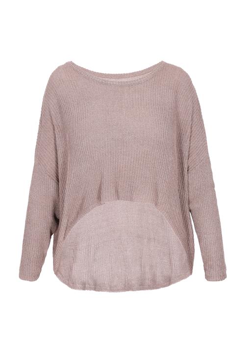 Gaya Pullover 'Fashion Look'  mørkebeige